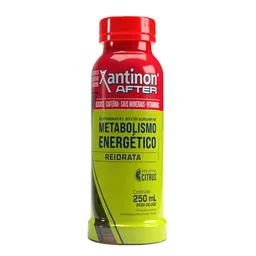 Isotônico Xantinon After Citrus 250ml