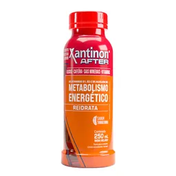 Isotônico Xantinon After Tangerina 250ml